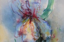Irisblüte (Aquarell)