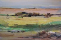 Rapsfeld (Aquarell)